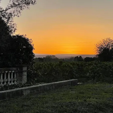 Huerto Del Carmen * Puebla Larga