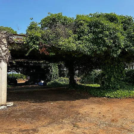 Huerto Del Carmen Holiday home *